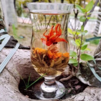 Чай вязаный "Момент вдохновения" цветочная жемчужина 8г ядрышко